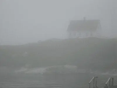 “THE FOG OF LIFE”