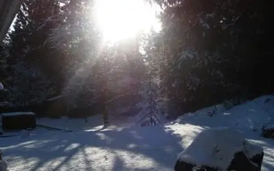 Winter Solstice – an Invincible Summer Within