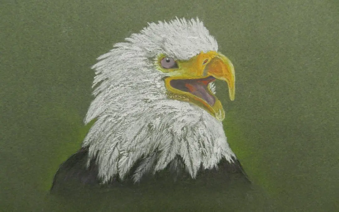 “MY EYE IS ON YOU!”