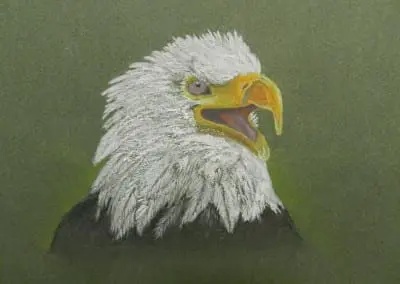 “MY EYE IS ON YOU!”