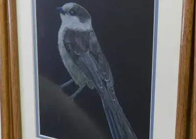 “BLUE BIRD OF HOPE”