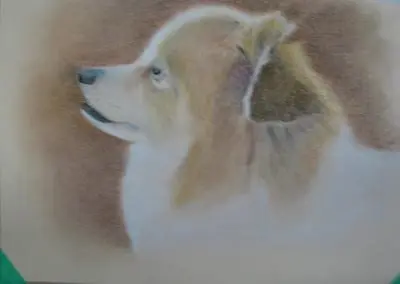 “MOMENT OF REFLECTION”