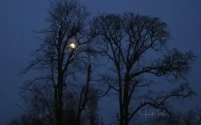 “WHEN DARKNESS COMES”