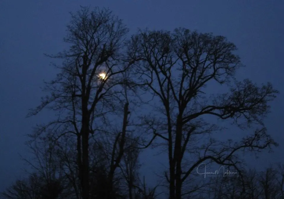 “WHEN DARKNESS COMES”