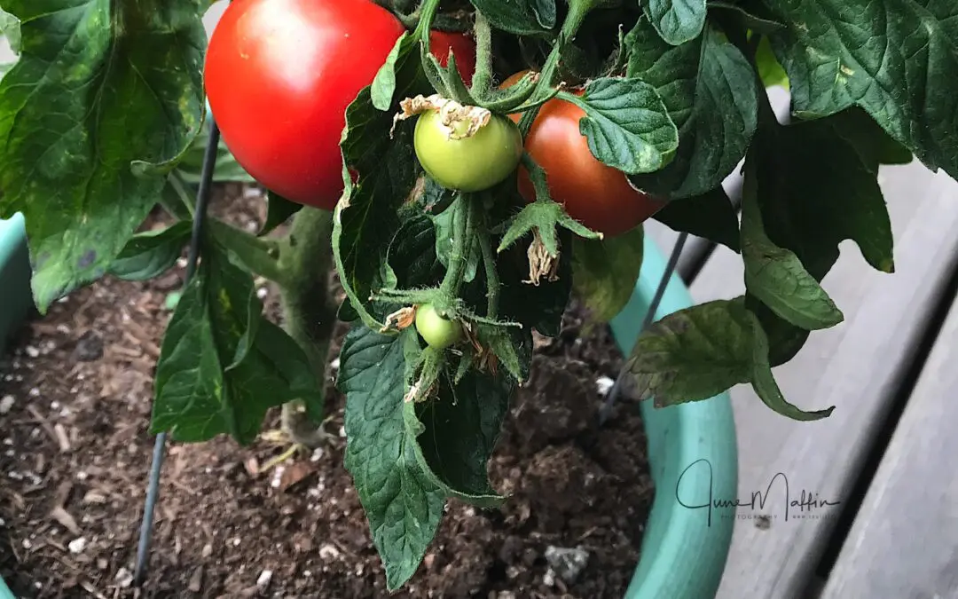 “THREE QUESTIONS”