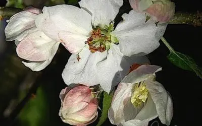 “IN SPITE OF EVERYTHING”