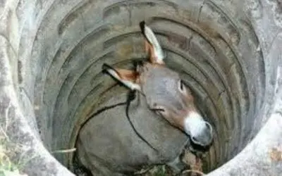 “SHAKE OFF THE DIRT”