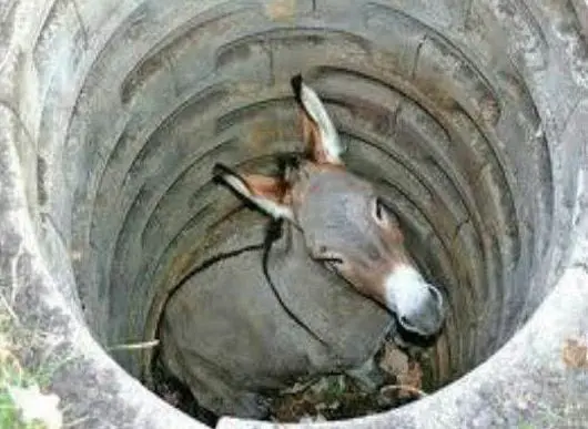 “SHAKE OFF THE DIRT”