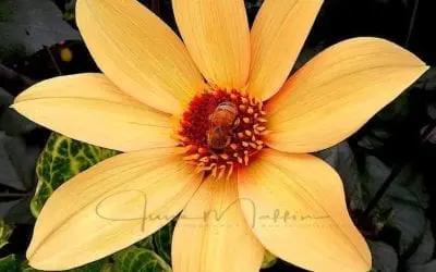 “DOING OUR THING”