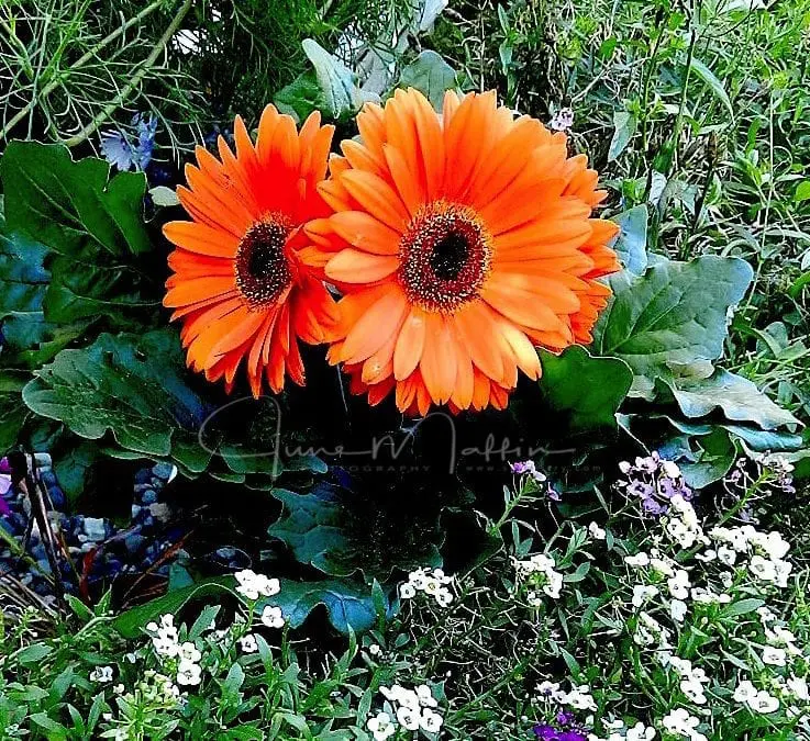 “HIS NAME WAS JOE”