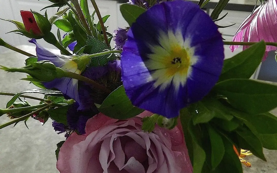 “THE TIME HAS COME”