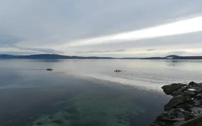 “A DAY LIKE NO OTHER”