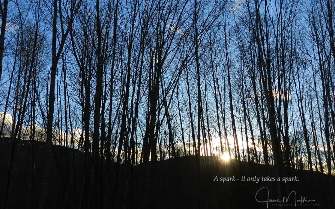 “IT ONLY TAKES A SPARK”