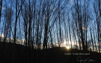 “IT ONLY TAKES A SPARK”