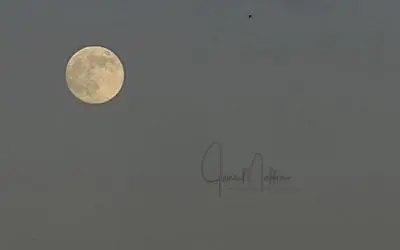 “THERE WILL BE A TOMORROW”