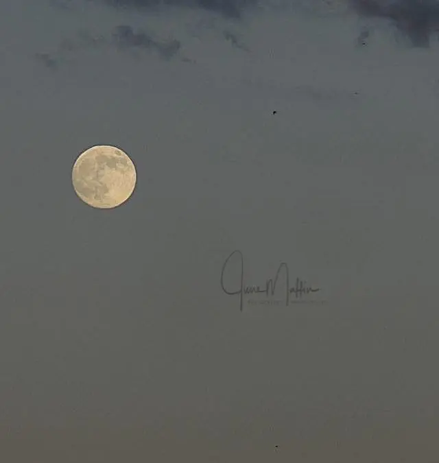 “THERE WILL BE A TOMORROW”