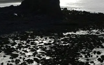 “BE VIGILANT – NOT AFRAID”