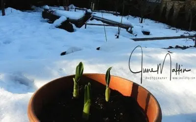 “A SIGN OF HOPE”