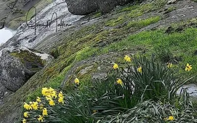 “IMPOSSIBLE or I’M POSSIBLE”