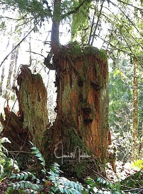 “ALL WHO DWELL HERE”