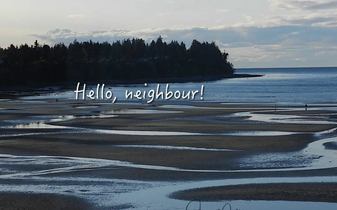 “HELLO NEIGHBOUR”