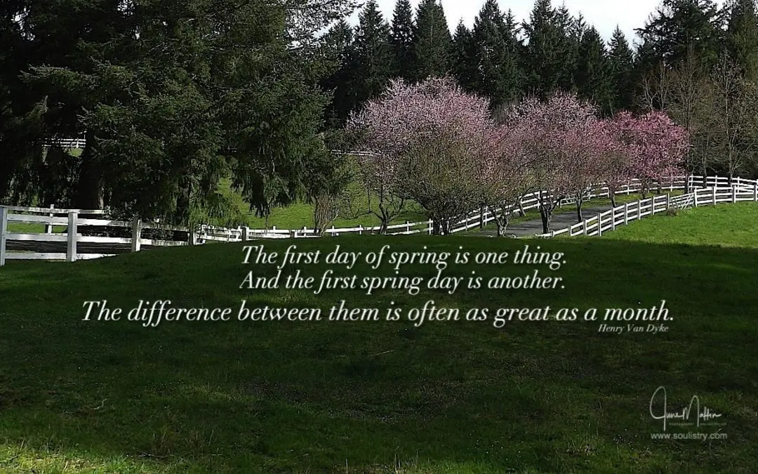 SPRING IS HERE – SORT OF