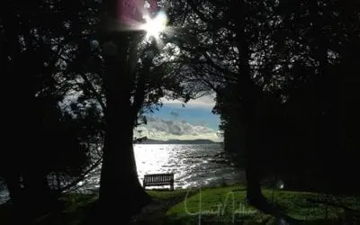 “THINK FOR OURSELVES… “