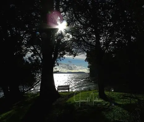 “THINK FOR OURSELVES… “