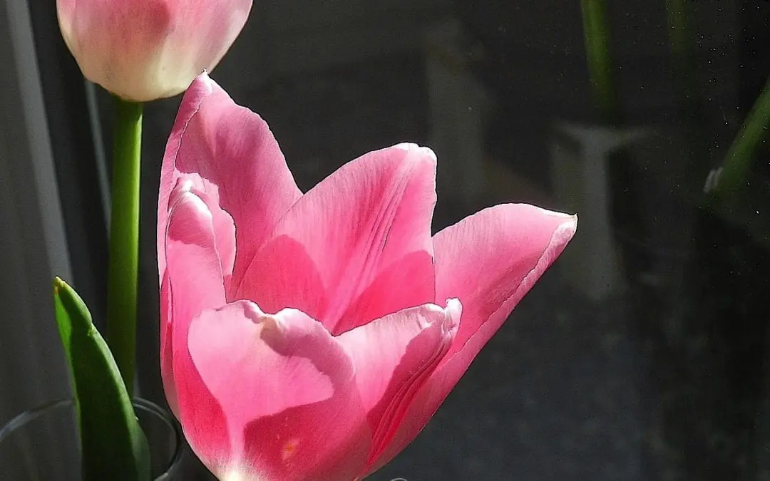 “ALMOST MISSED IT!”