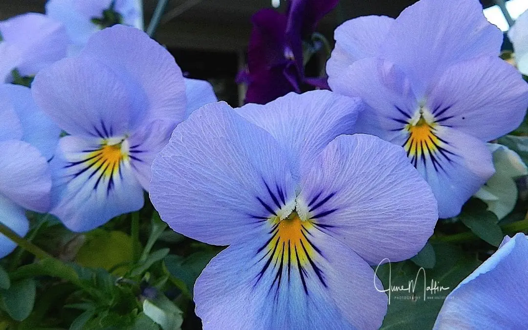 “TIME FOR A BREAK”