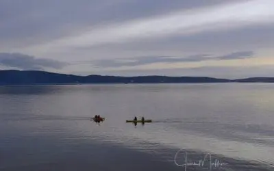 “WILDERNESS MOMENTS”