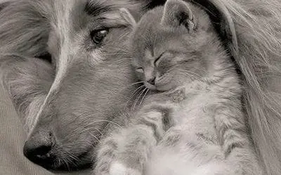 “THEY CAN TEACH US SO MUCH”