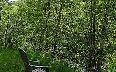 “BLESS-ED SABBATH MOMENTS”