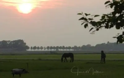 “CHOOSING TO BE”