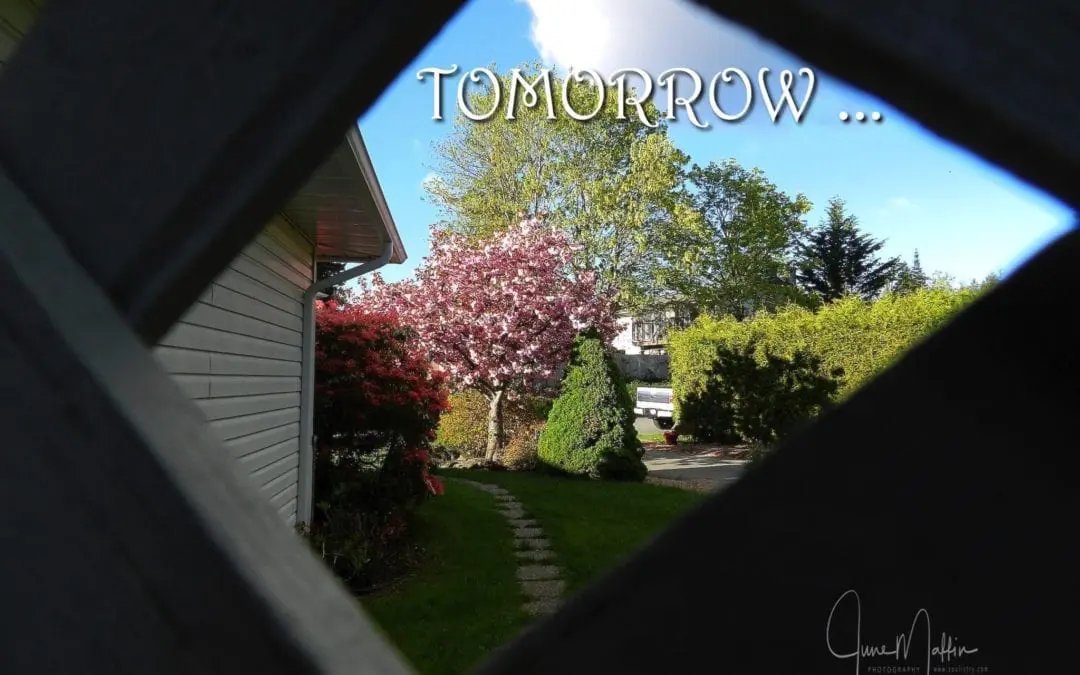 “TOMORROW”