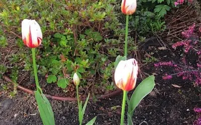 “WE HAVE TO HAVE WAYS”