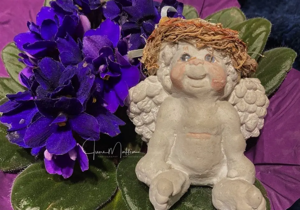 “LIFTED OUT OF FEAR – Miss Pudgy Angel”
