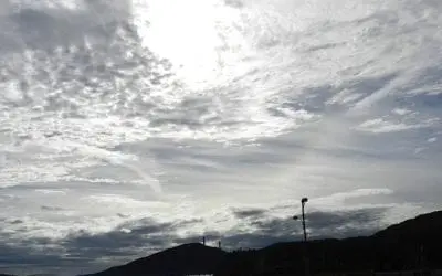 “THE TRUE ESSENCE”