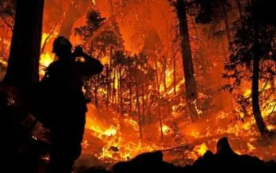 “WHISPERING COURAGE”