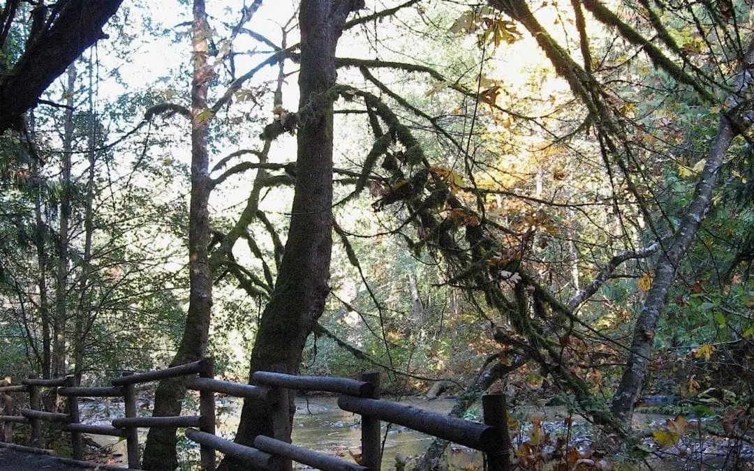 “FROM BEYOND … TO BEYOND: ADDRESS CHANGE”