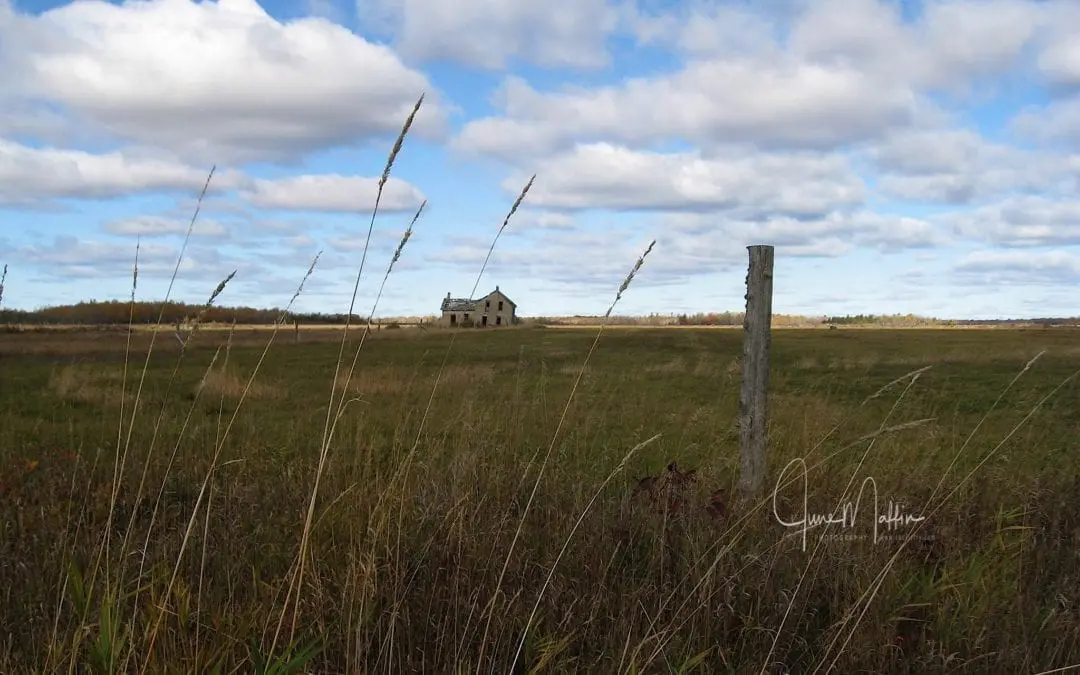 “OH THE STORIES”