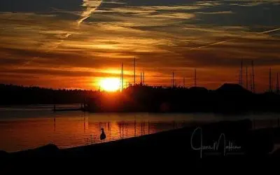 “WHAT TOMORROW WILL BRING”