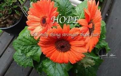 TURNING FEAR INTO HOPE