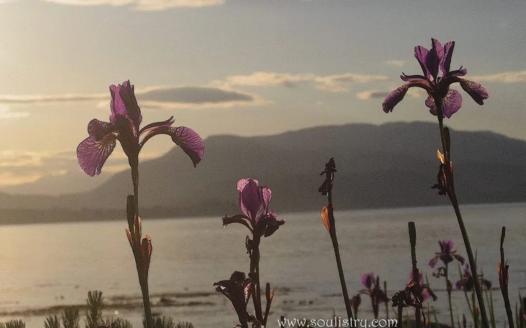 “A BLESSING FOR THIS DAY”