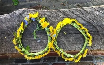 “DANDELION TIARAS”