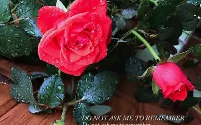 A FATHER’S DAY REFLECTION