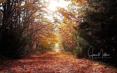 “IT’S OCTOBER-FALL-AUTUMN!”