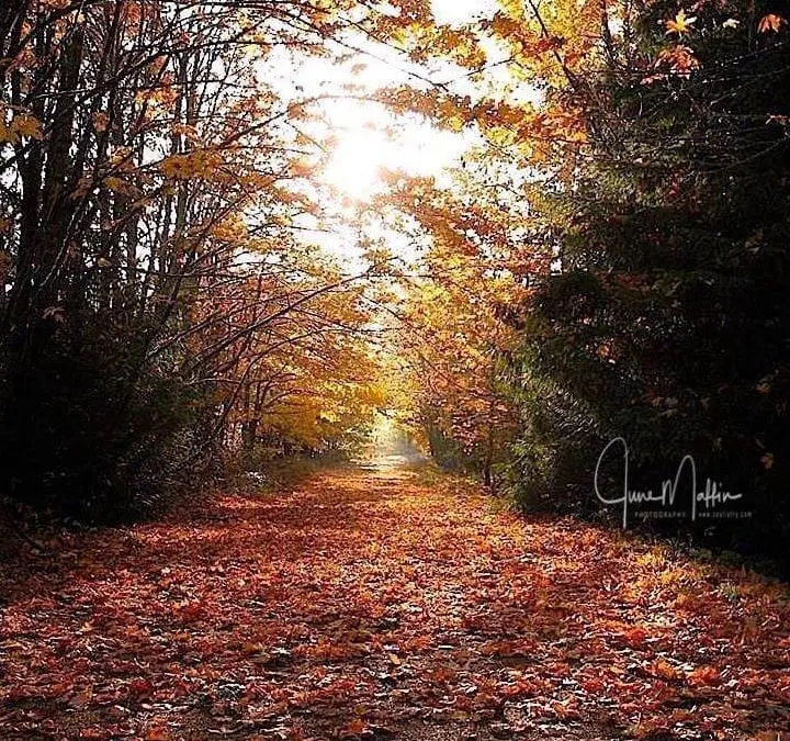 “IT’S OCTOBER-FALL-AUTUMN!”