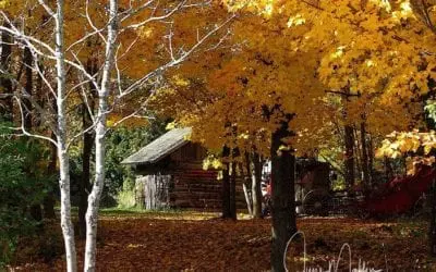 “WELCOME NEW MONTH!”