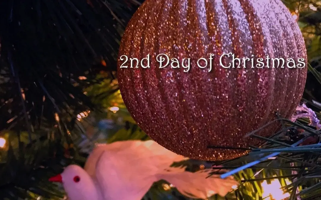 SECOND DAY OF CHRISTMAS